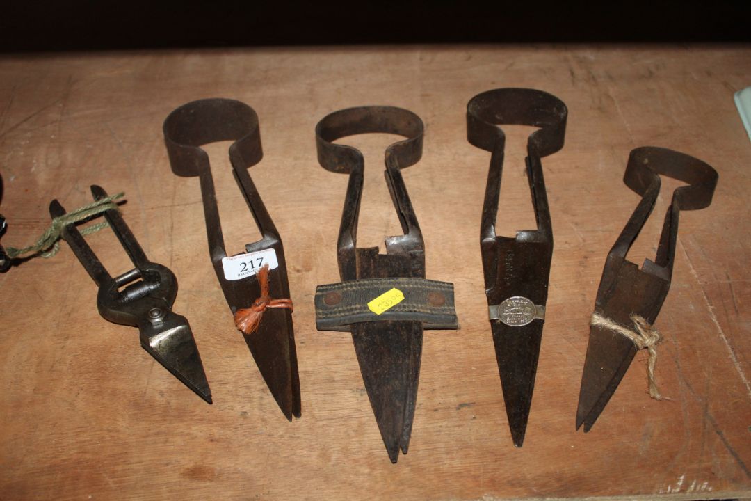 Four pairs of sheep shearing shears and a sheep foot trimmer