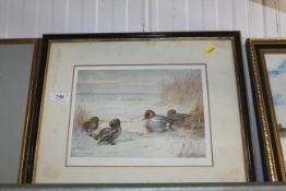 Archibald Thorburn, pencil signed print depicting ducks on water
