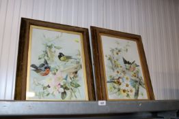 Two paintings on panel depicting British birds, one signed to Verso W Comerford Watson 1898