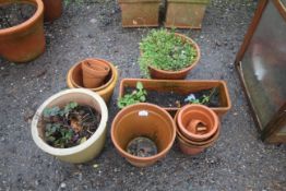 A quantity of various terracotta plant pots, terra
