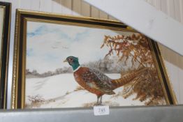 C Oakley, oil on board study of a pheasant