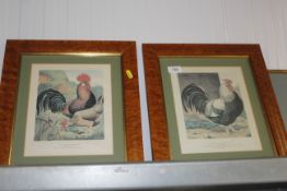 Two framed prints, 'Brown Leghorns' and 'Champion' contained in veneered birdseye and maple frames