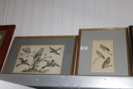 Jean Gabriel Pretre, study of birds, together with a black and white study of birds