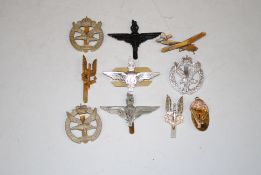 A collection of badges including Special Forces SA