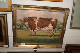 Signed oil on board, 'Champion Bull' Thomas Daley