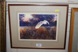 Richard Cook, acrylic study of a hunting barn owl