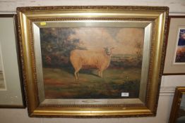 Oil on board, 'Old Leicester Ewe'