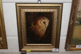 Unsigned oil on board, study of a barn owl