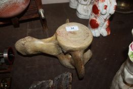 A vertebrae possibly from a pilot whale or female