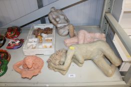 A collection of various sea shells and four Studio