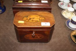 A 19th Century mahogany and conch shell inlaid two