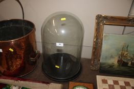 A Victorian glass dome