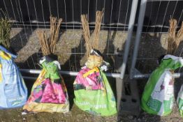 A bag containing 50 Hazel whips - Please note thi