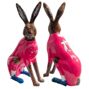 Hopping Towards Adversity.