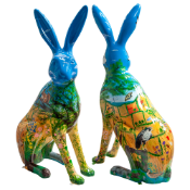 Hare Today, Gone Tomorrow.