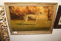 Unsigned oil on board, study of a greyhound stood