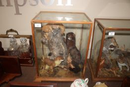 A cased and preserved arrangement of a mink, a stoat and a British weasel