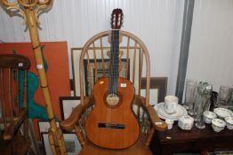 A Lauren Acoustic guitar