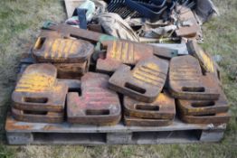 Quantity of Massey Ferguson jerry can weights and