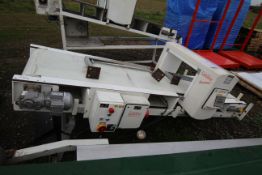 Flat belt conveyor with Safeline metal detector. V