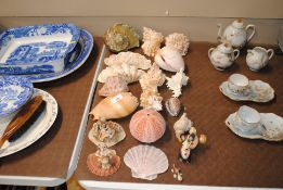 A quantity of various shells