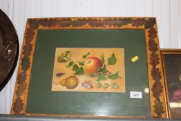 A watercolour still life study depicting fruit and