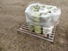 Quantity of Big Baler Twine