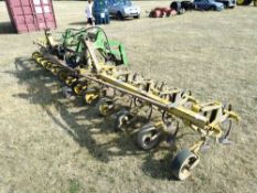 Standen 12row Sugarbeet Hoe