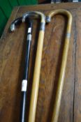 Three Walking Stick with Silver Ferrules