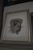 Framed Study of a Terrier