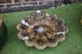 Concrete Shell Birdbath