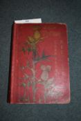 Antique French Postcard Album and Contents