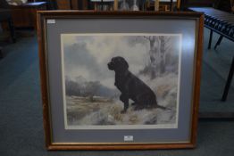 Signed John Trickett Labrador Print