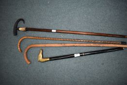 Walking Sticks