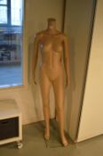 *Female Mannequin (no head)