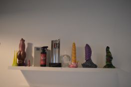 *Shelf of Assorted Dildos, etc.