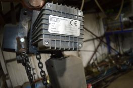 *Electric Chain Hoist