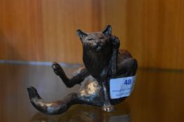 Scruffy the Cat Having a Scratch