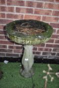 Concrete Birdbath