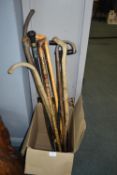 Assorted Walking Stick