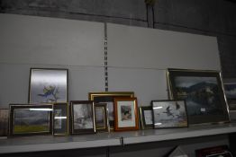 Wildlife and Countryside Pictures and Prints