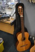 Palma Acoustic Guitar