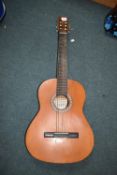 Encore Acoustic Guitar