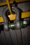 *Two 12-ton Lifting Shackles