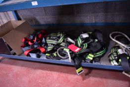 *Four Safety Harnesses and Various Clips