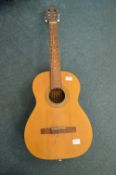 BM Acoustic Guitar