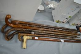 Seven Walking Sticks Including One with Silver Fer