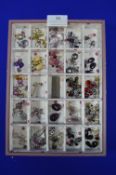 Stackers Tray Containing Costume Jewellery Earring