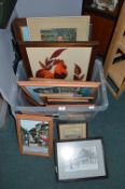 Framed Pictures and Prints