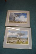 Pair of Landscape Photographs